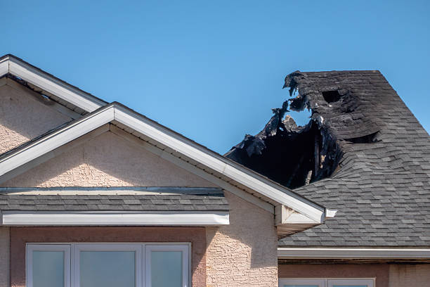 Top rated local Board Up Services specialists in Saint Paul Park, MN